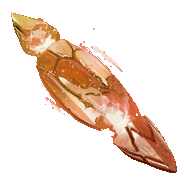 Random Tauforged Archon Shard